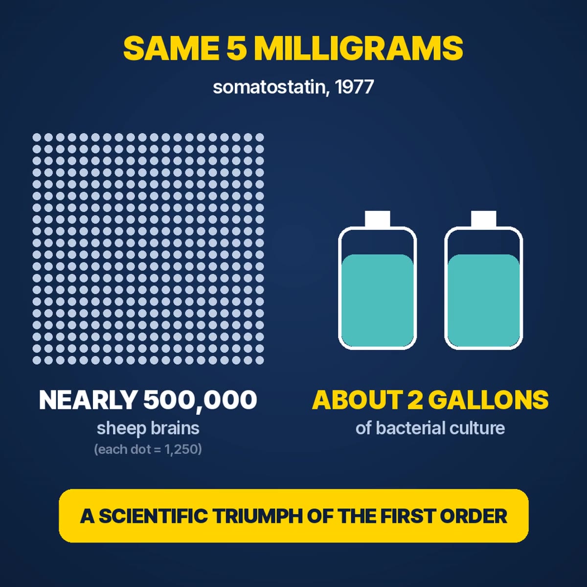 Diagram: the same 5 milligrams of somatostatin from nearly 500,000 sheep brains or about 2 gallons of bacterial culture